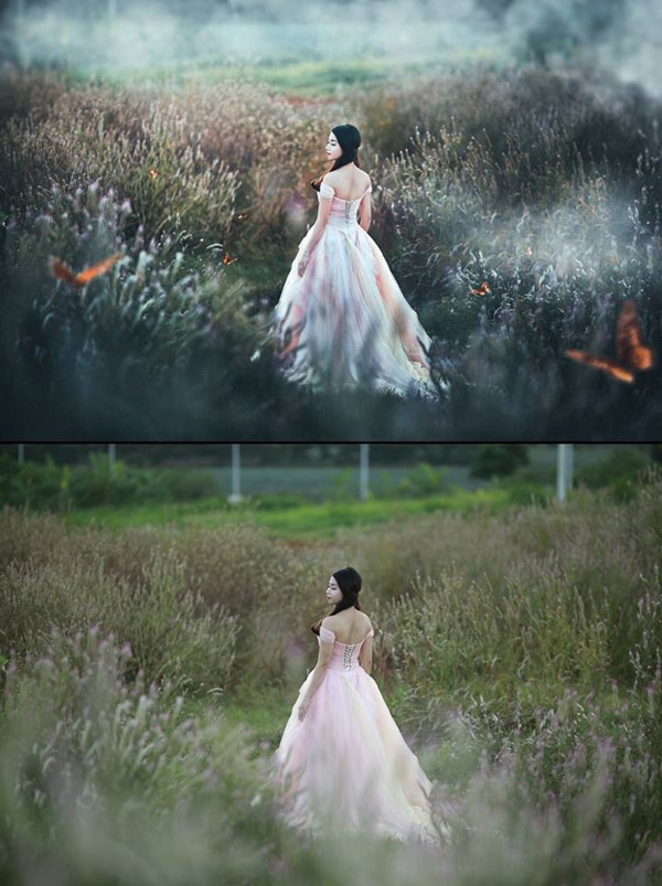 Dịch vụ nổi bật tại Đà Nẵng chi tiết bảng giá, ưu điểm Dịch vụ nổi bật tại Đà Nẵng chi tiết bảng giá, ưu điểm