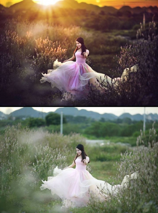 Dịch vụ nổi bật tại Đà Nẵng chi tiết bảng giá, ưu điểm Dịch vụ nổi bật tại Đà Nẵng chi tiết bảng giá, ưu điểm