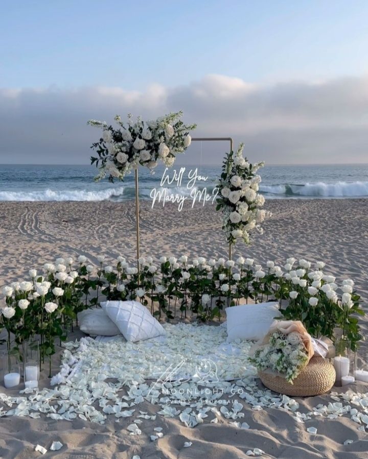 Kinh nghiệm trang trí cầu hôn ở biển đẹp và ấn tượng 2026 Kinh nghiệm trang trí cầu hôn ở biển đẹp và ấn tượng 2026